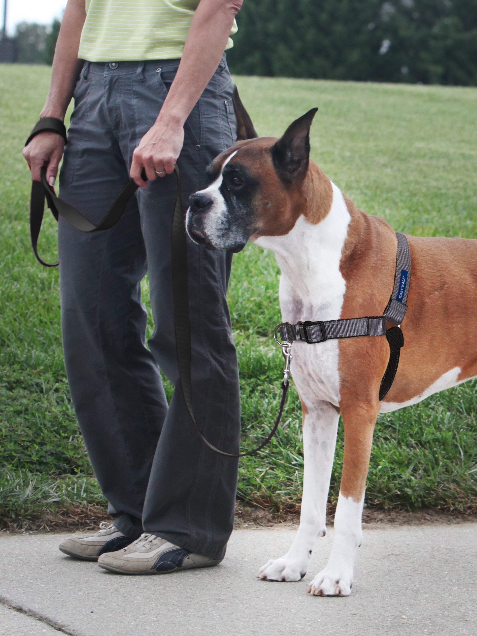 PetSafe Deluxe Easy Walk bucle martingale para reducir tirones con seguridad.