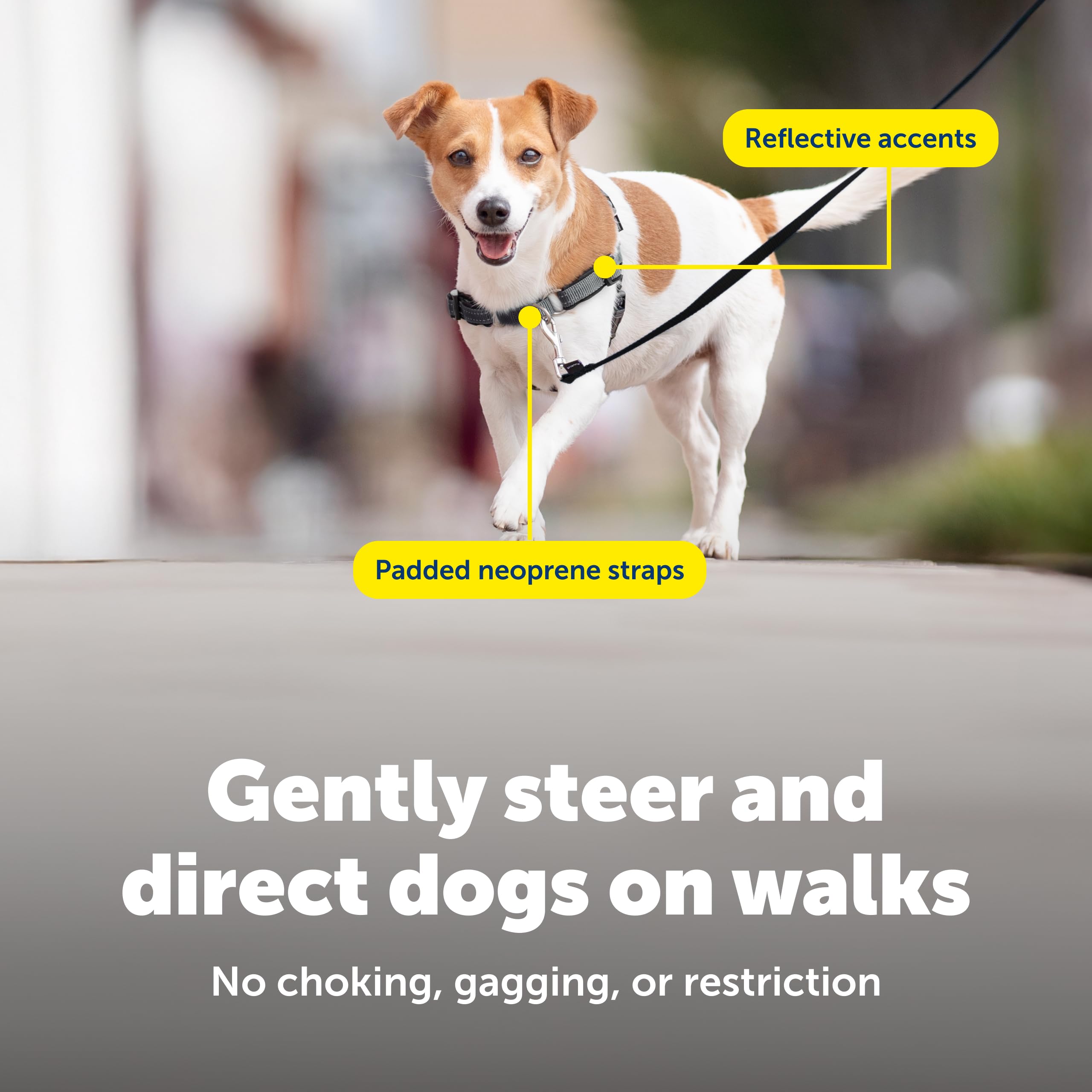 PetSafe Deluxe Easy Walk bucle martingale para reducir tirones