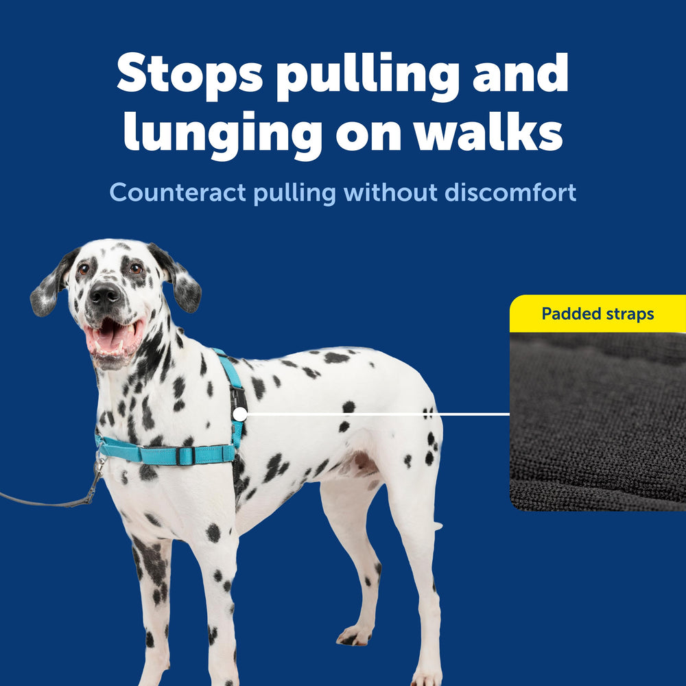 Arnés PetSafe Deluxe Easy Walk con bandas delanteras coloreadas para colocación rápida.