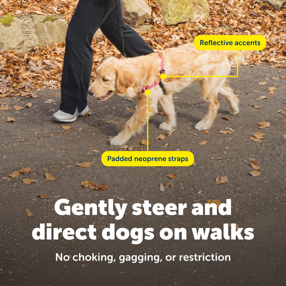 Diseño ligero del arnés PetSafe Deluxe Easy Walk para uso diario