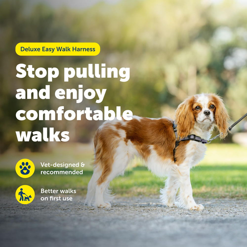 PetSafe Deluxe Easy Walk hebilla rápida para colocar y ajustar fácilmente.