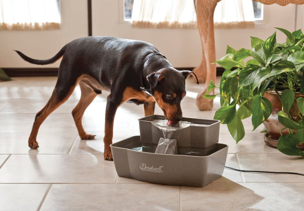 PetSafe Drinkwell doble nivel, caudal suave invita a beber durante el día.