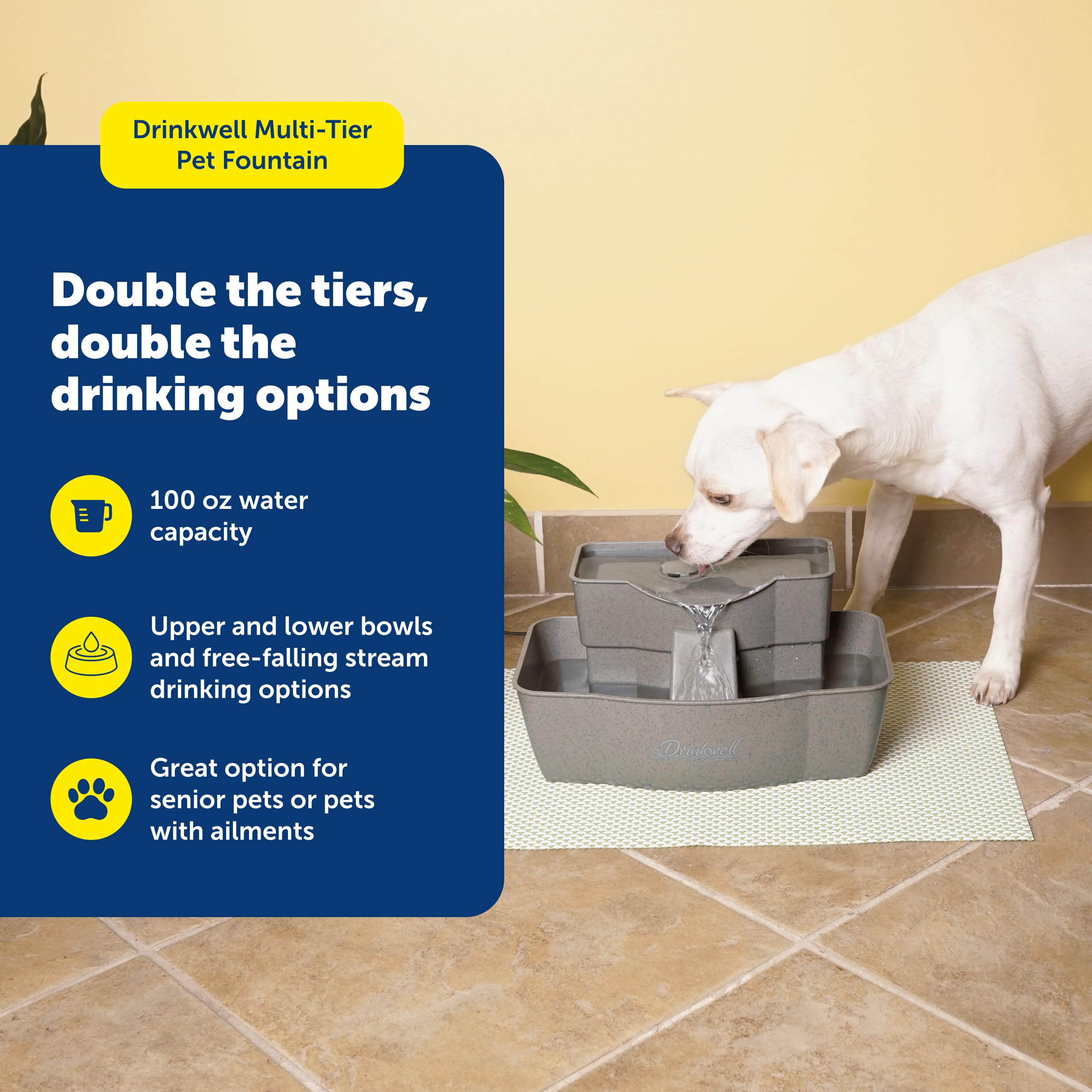 PetSafe Drinkwell con filtro de carbono para agua más fresca.