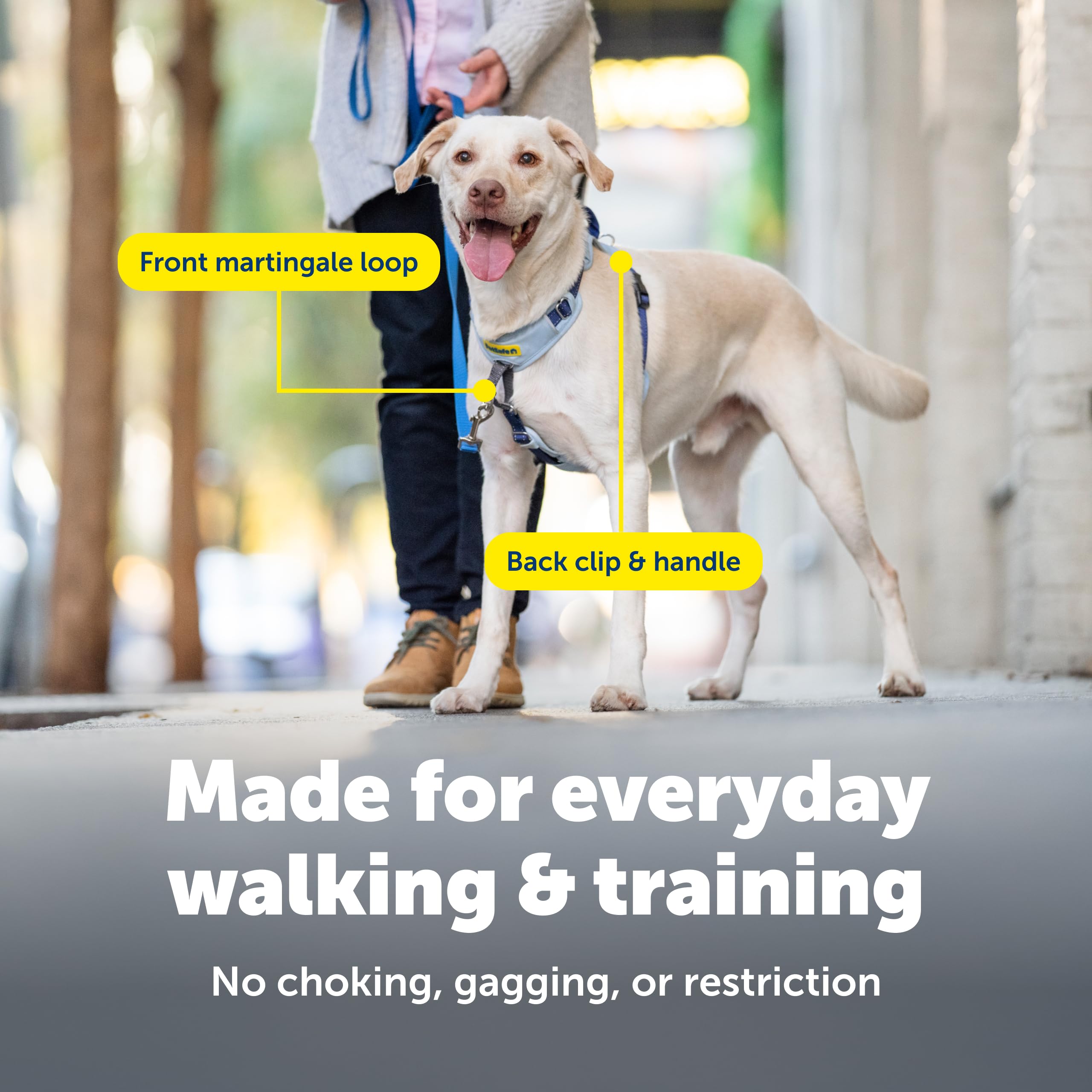 PetSafe Easy Walk: cinco puntos de ajuste para un ajuste personalizado.
