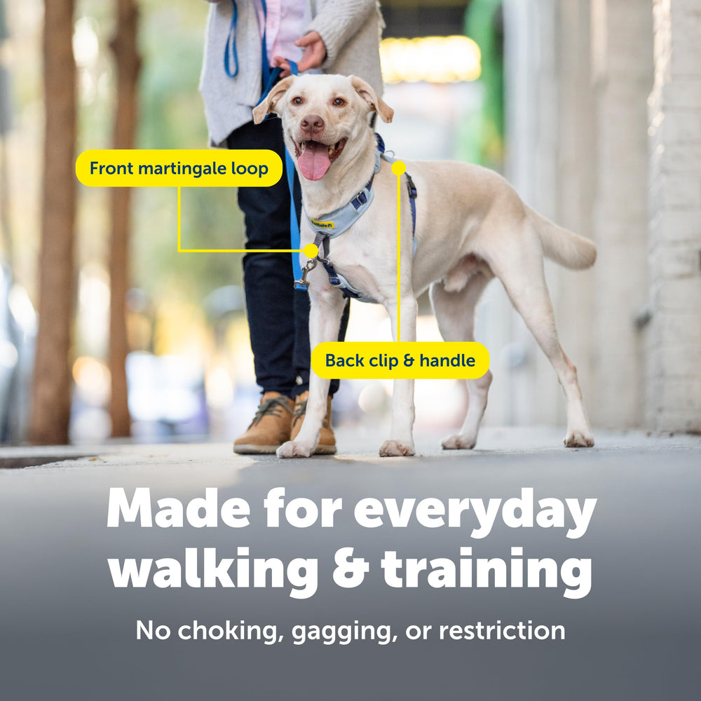 PetSafe Easy Walk: cinco puntos de ajuste para un ajuste personalizado.