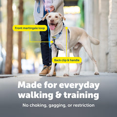 PetSafe Easy Walk: cinco puntos de ajuste para un ajuste personalizado.