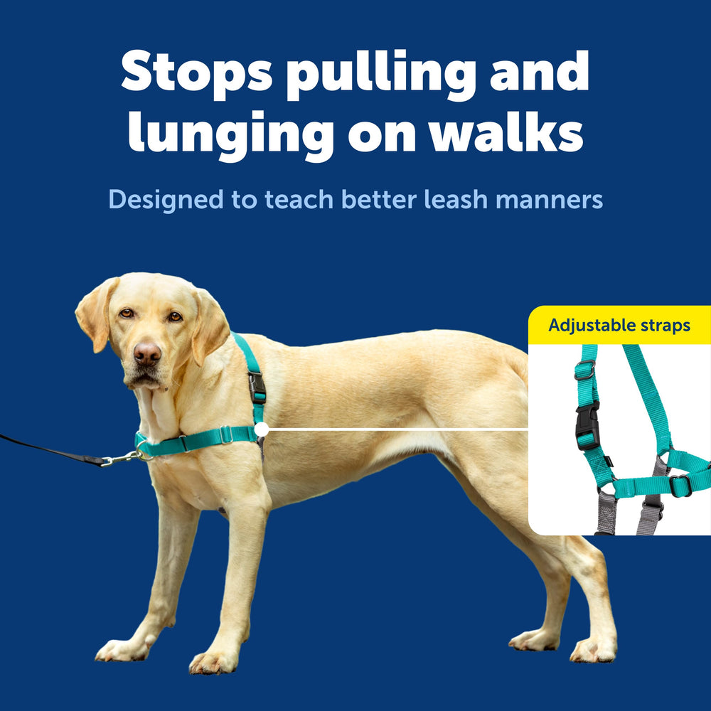 PetSafe Easy Walk, anclaje pech frontal para mayor control durante caminatas