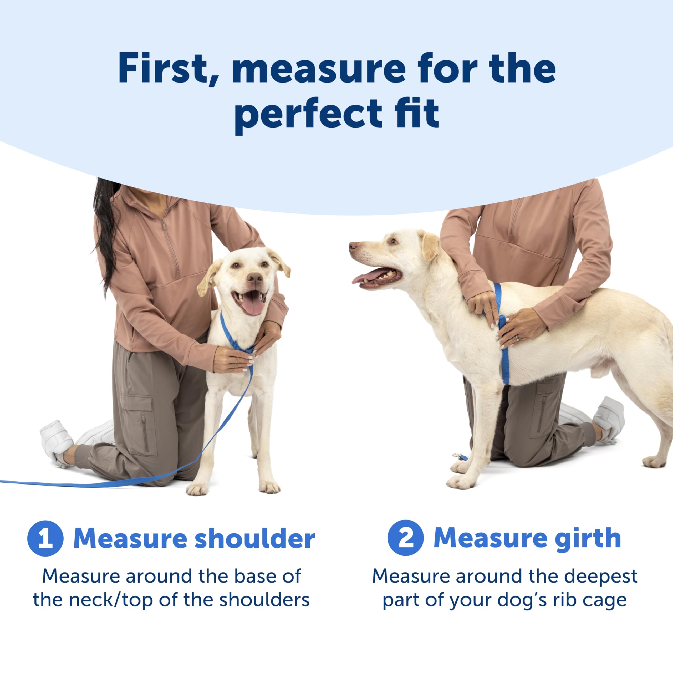 Arnés PetSafe Easy Walk con ajuste de cinco puntos para talla personalizada.