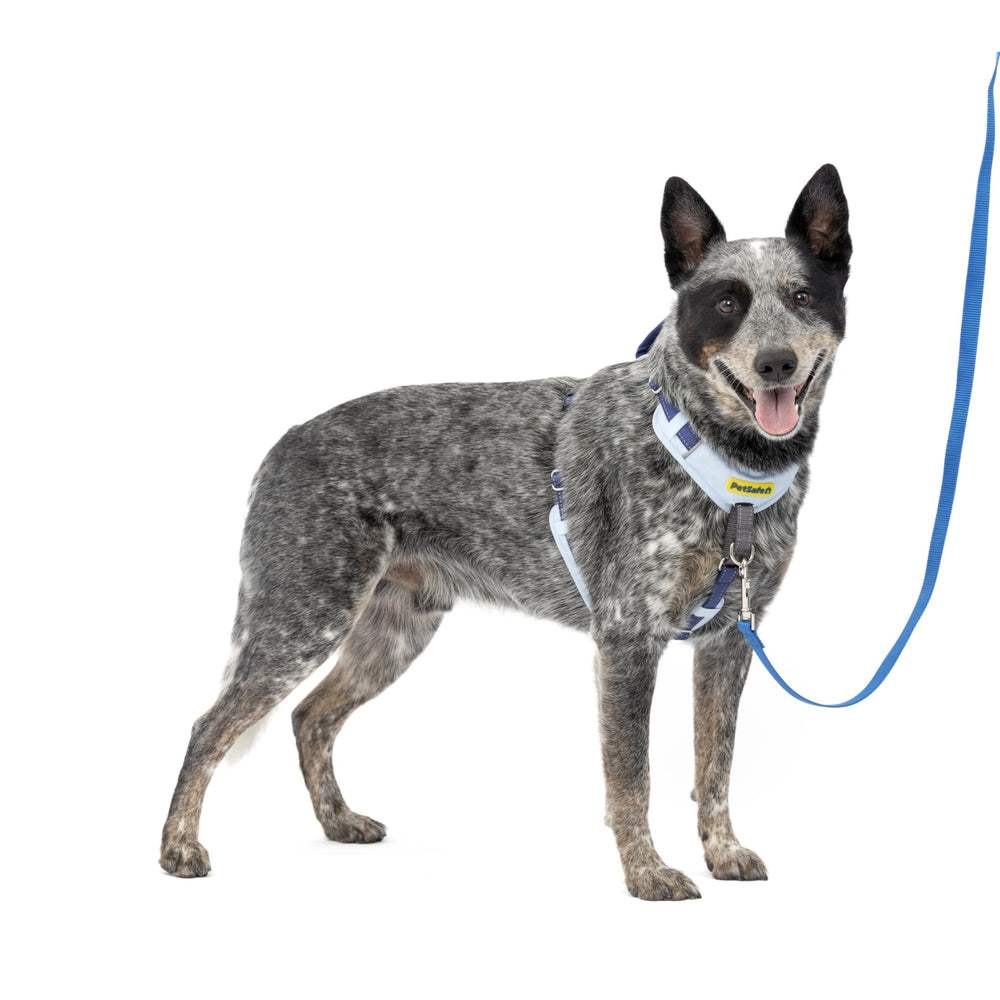 Arnés PetSafe Easy Walk frente con enganche delantero para paseos más controlados.