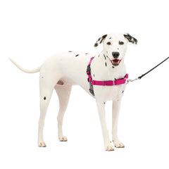 PetSafe Easy Walk arnés frontal en frambuesa gris para paseos sin tirones