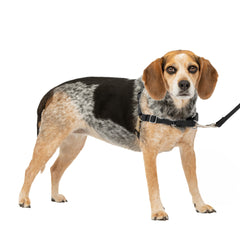 PetSafe Easy Walk arnés frente para control durante paseos sin tirar