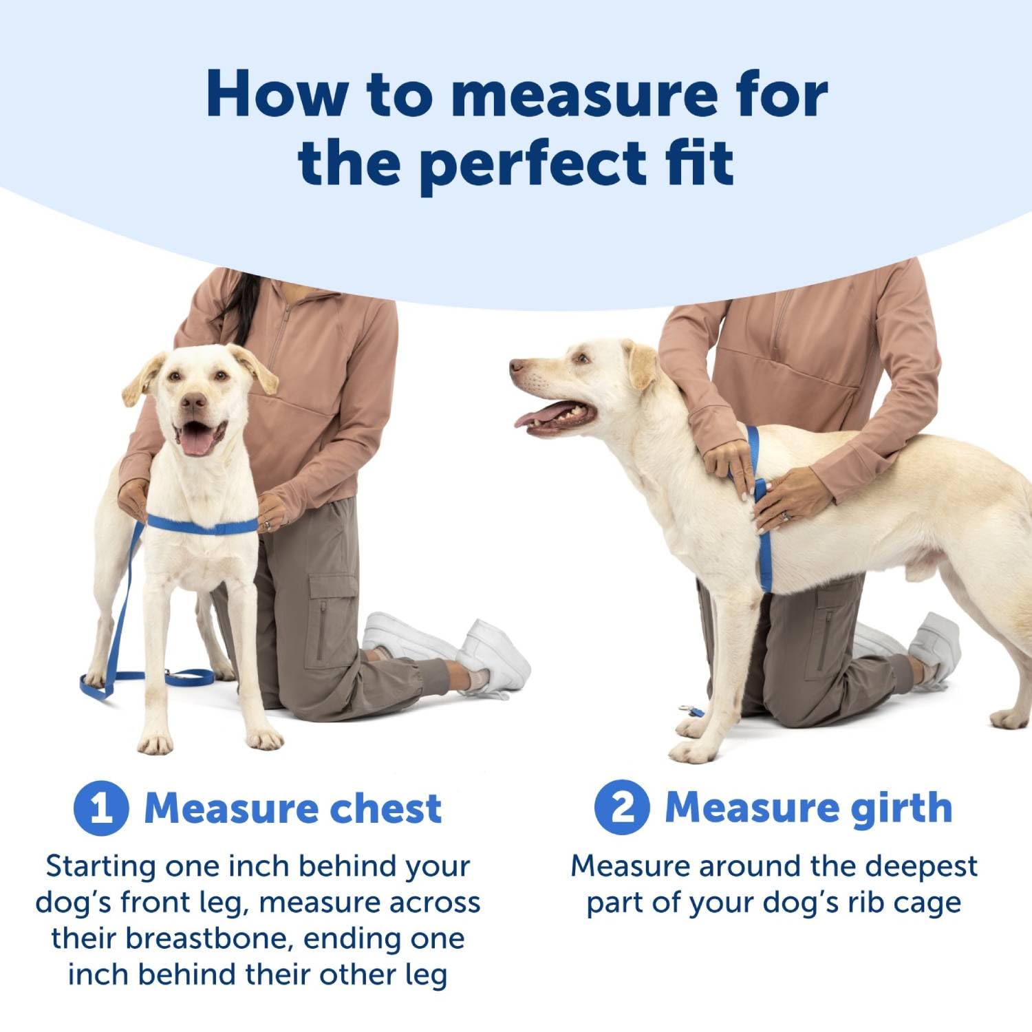 PetSafe Easy Walk atención al cliente disponible en EE. UU.
