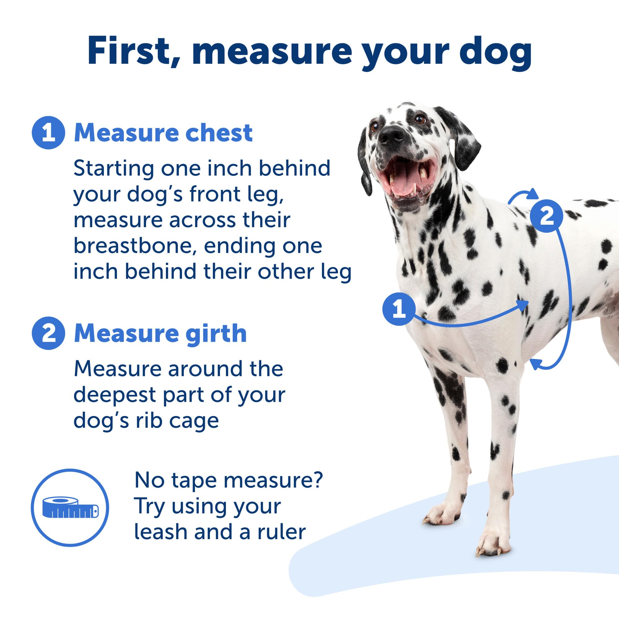 PetSafe Easy Walk banda de vientre de color distinto para ajuste rápido