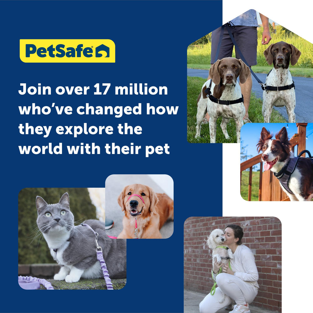 PetSafe Easy Walk cierre rápido facilita ponérselo y quitarlo