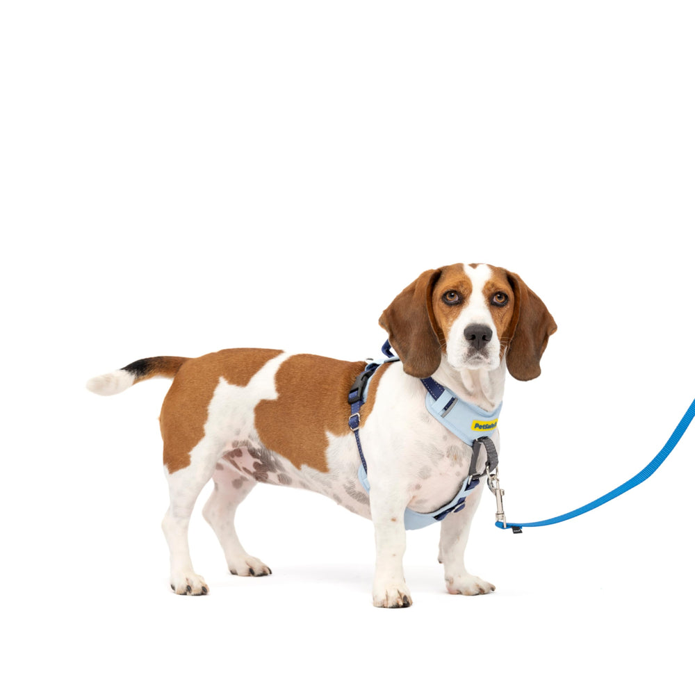 arnés frontal acolchado de PetSafe para control suave durante paseos