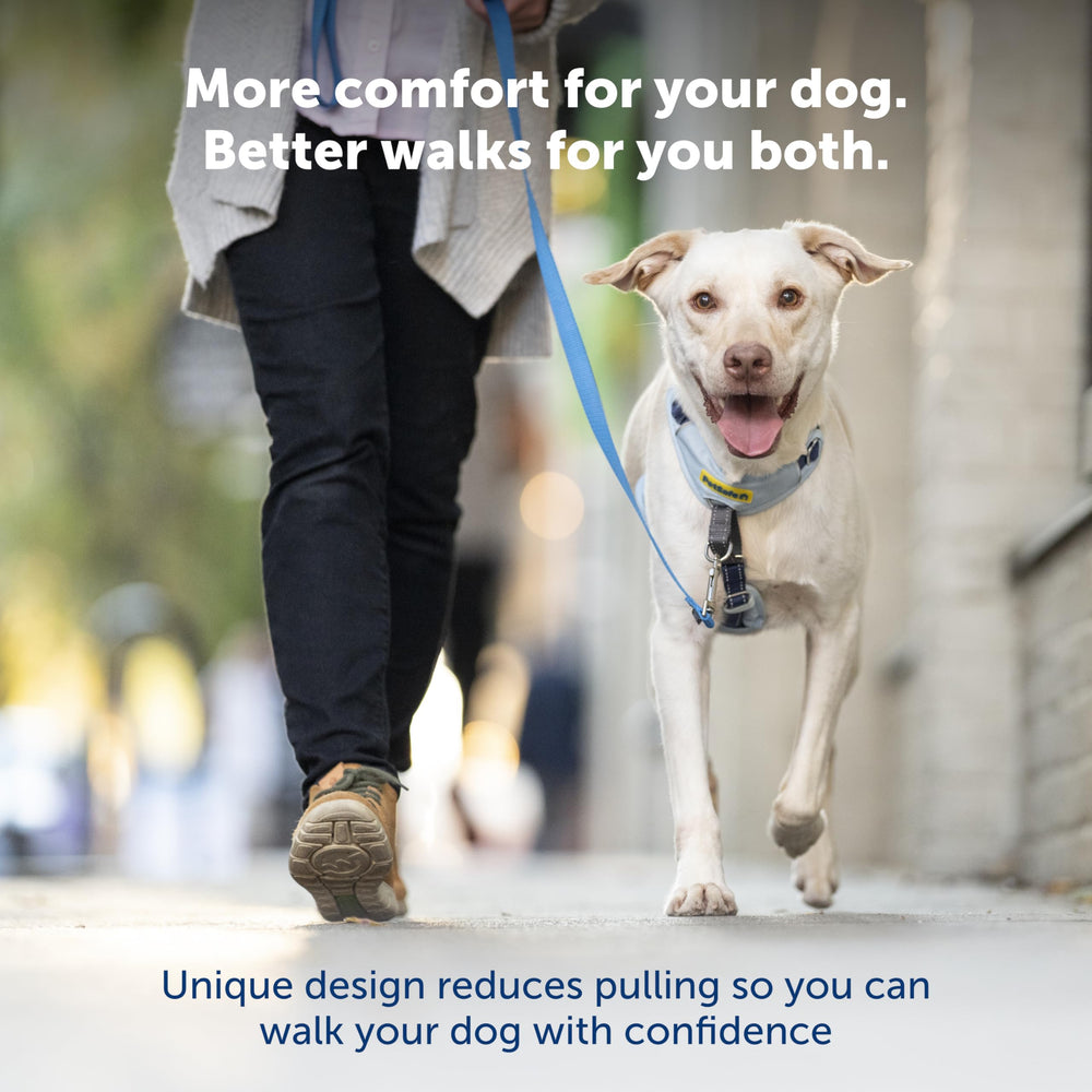 anclaje trasero de PetSafe para paseos más dinámicos