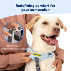Arnés con reflejos en PetSafe Easy Walk mejora visibilidad en la oscuridad
