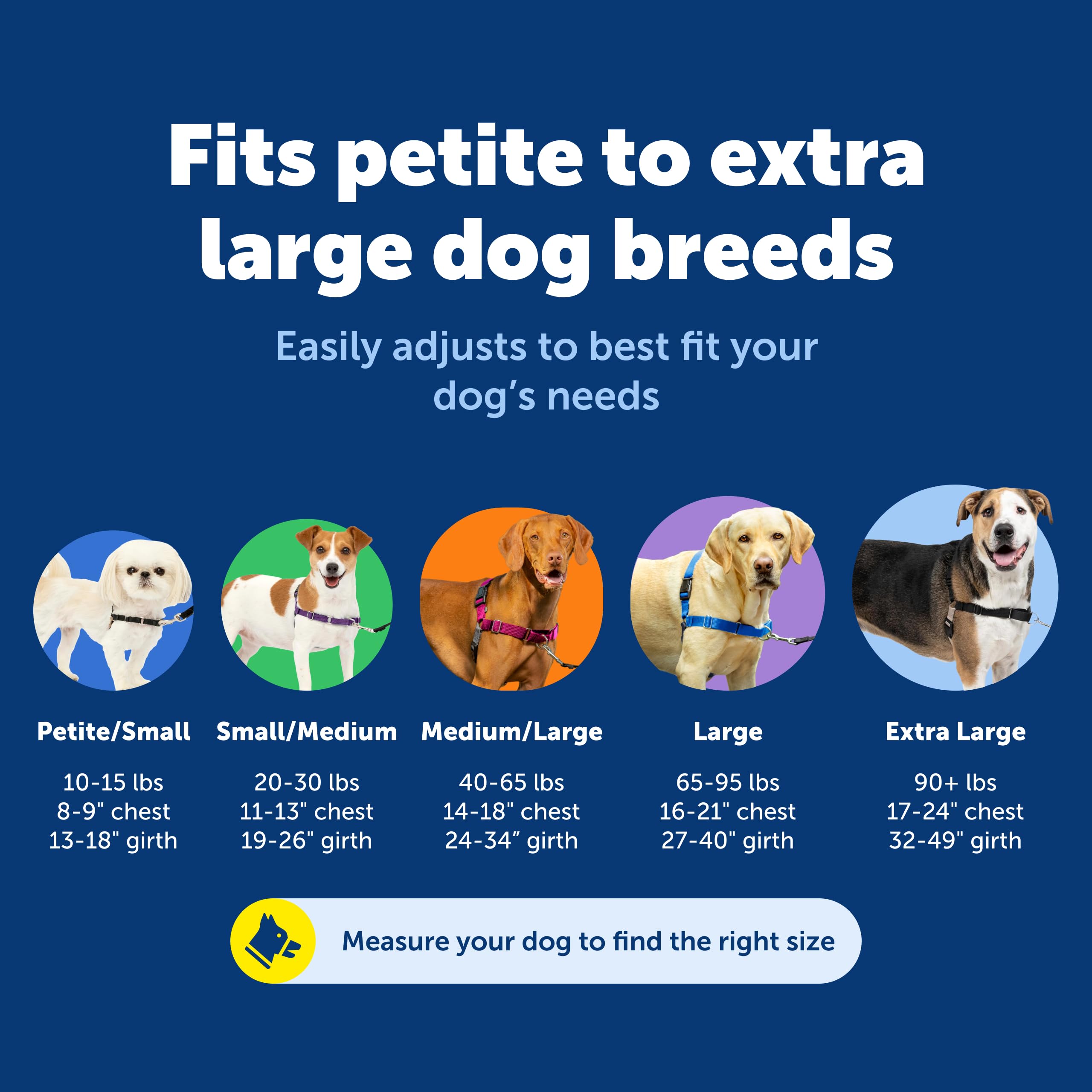 Correa frontal PetSafe Easy Walk facilita dirigir al perro durante el paseo
