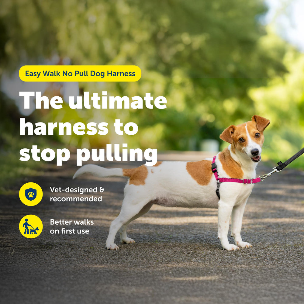 Correa de pecho frontal PetSafe Easy Walk que guía sin tirar.