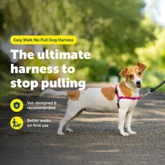 Correa de pecho frontal PetSafe Easy Walk que guía sin tirar.