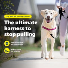 Correas de confort y ajuste en PetSafe Easy Walk para un ajuste perfecto