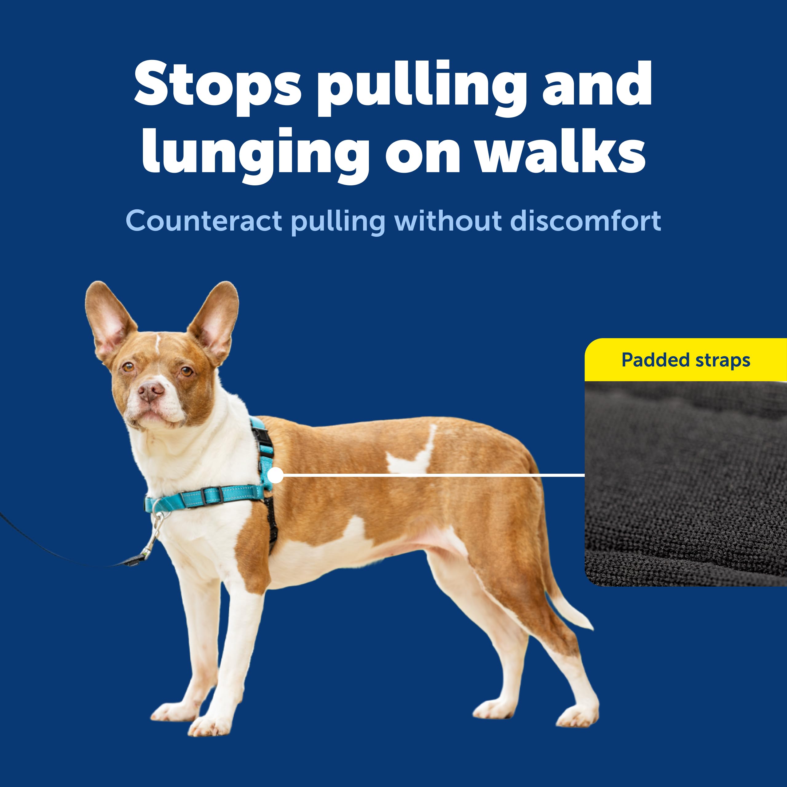 PetSafe Easy Walk Deluxe, tiras reflectantes nocturnas para seguridad en la oscuridad