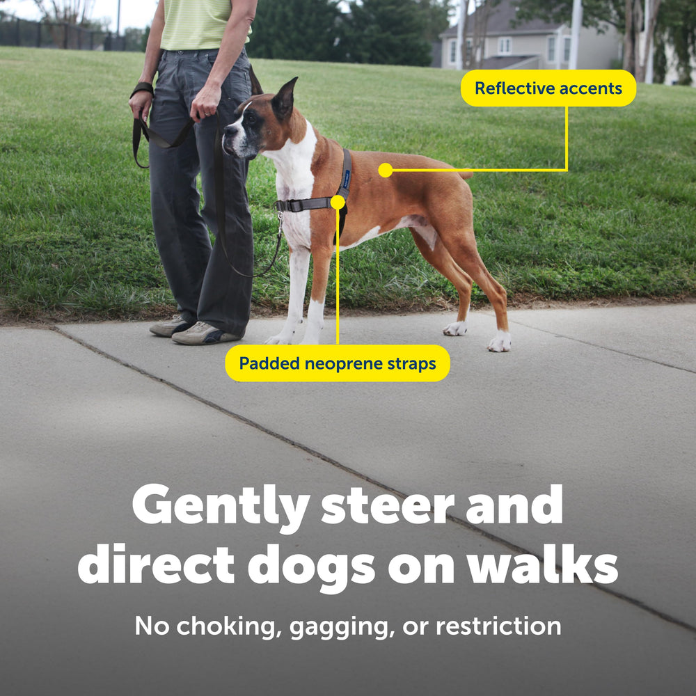 PetSafe Easy Walk Deluxe zona de pecho para guiar al caminar