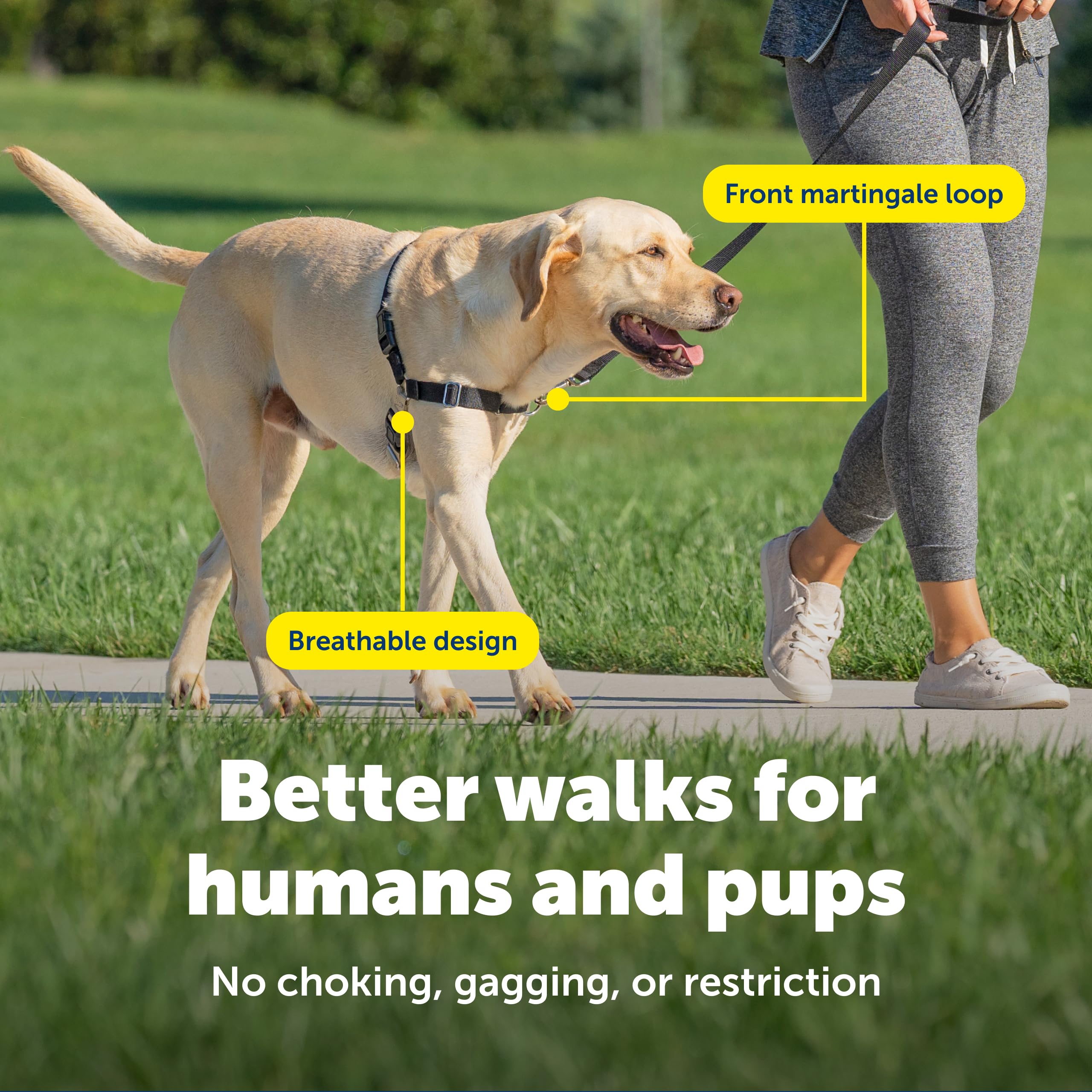 PetSafe Easy Walk, arnés transpirable en tonos teal y gris para días cálidos