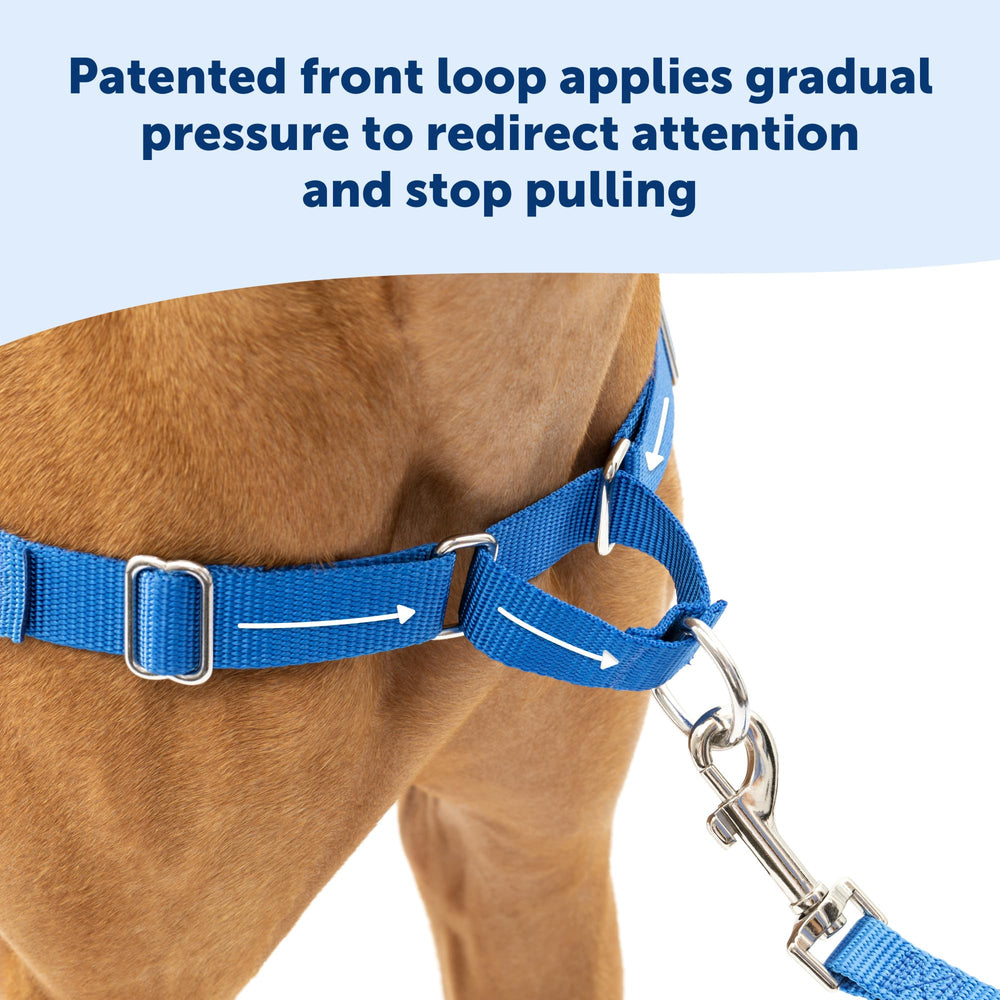 PetSafe Easy Walk enganche frontal para guiar al perro con suavidad