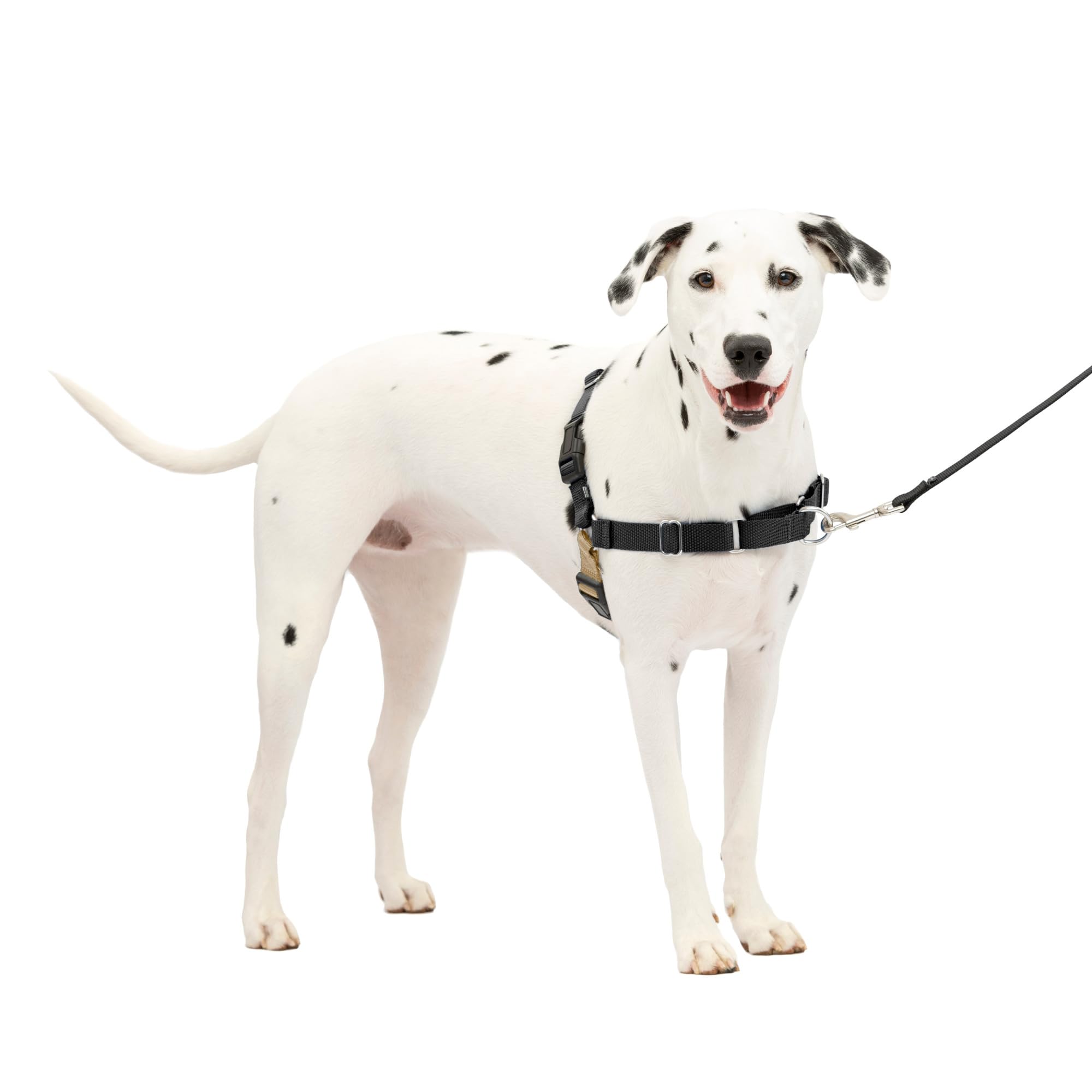 PetSafe Easy Walk Harness con correa frontal para paseos controlados.