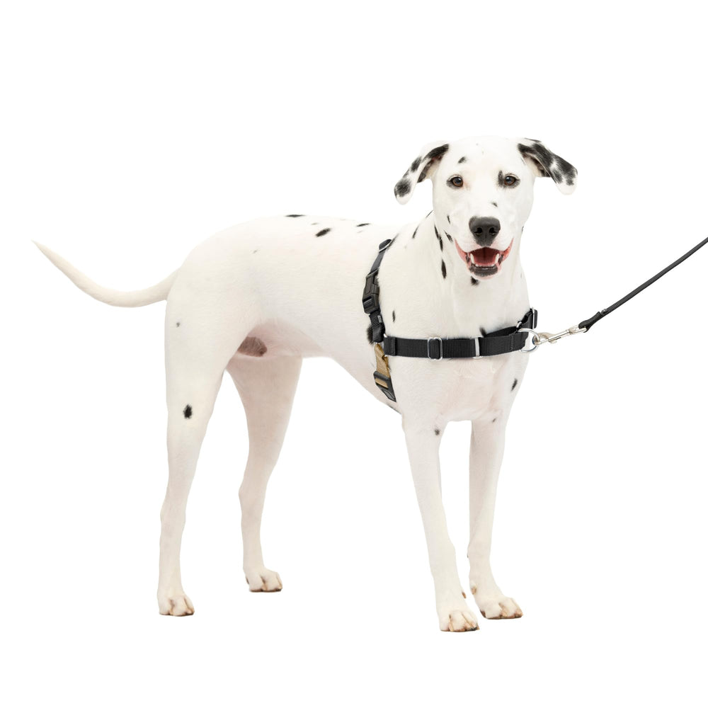PetSafe Easy Walk Harness con correa frontal para paseos controlados.