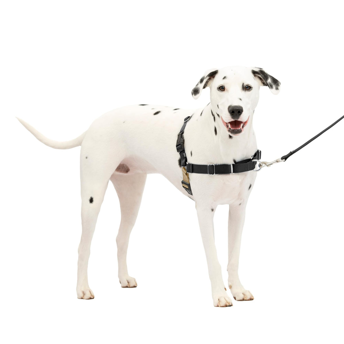 PetSafe Easy Walk Harness con correa frontal para paseos controlados.