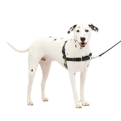 PetSafe Easy Walk Harness con correa frontal para paseos controlados.