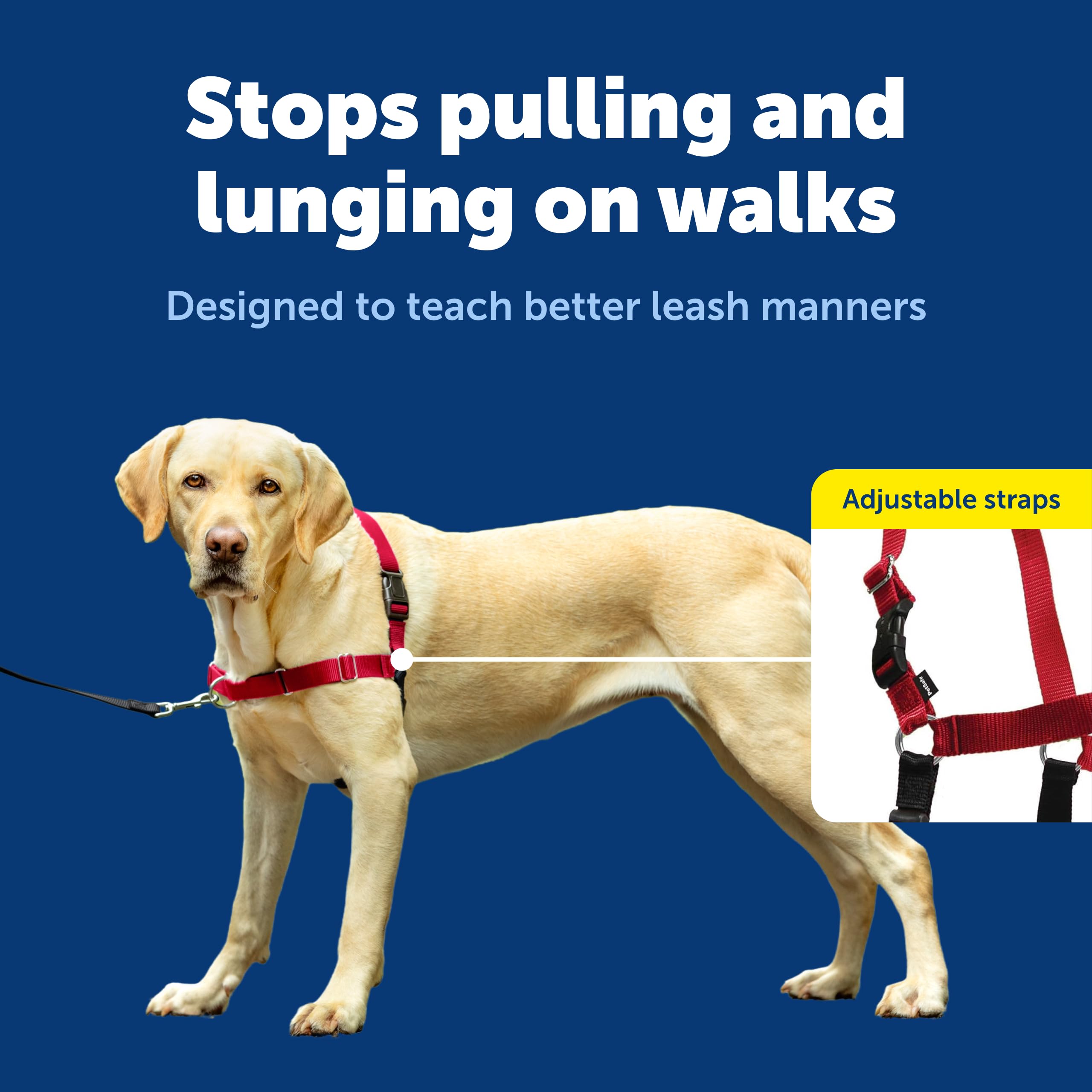 Tejido transpirable mantiene al perro fresco en caminatas largas.