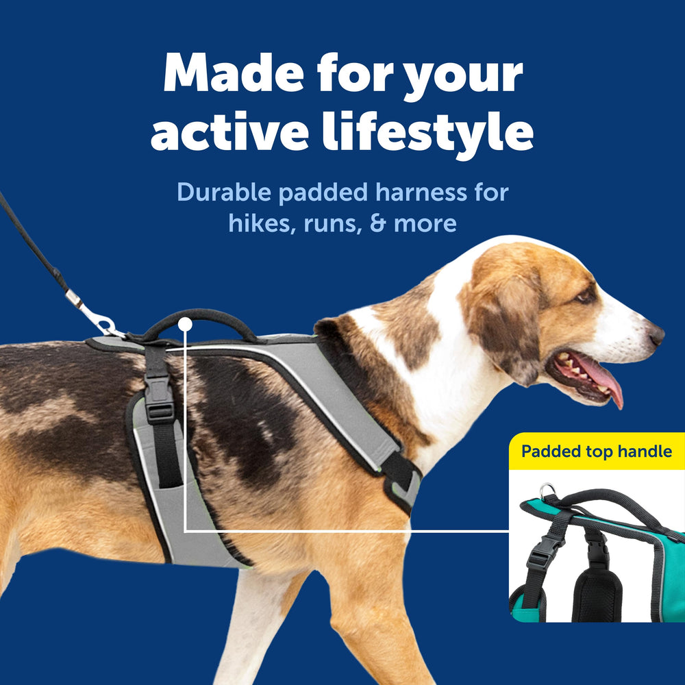 PetSafe EasySport: anclaje trasero para mayor control durante juego