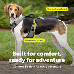 PetSafe EasySport: asa superior para guiar al perro con seguridad