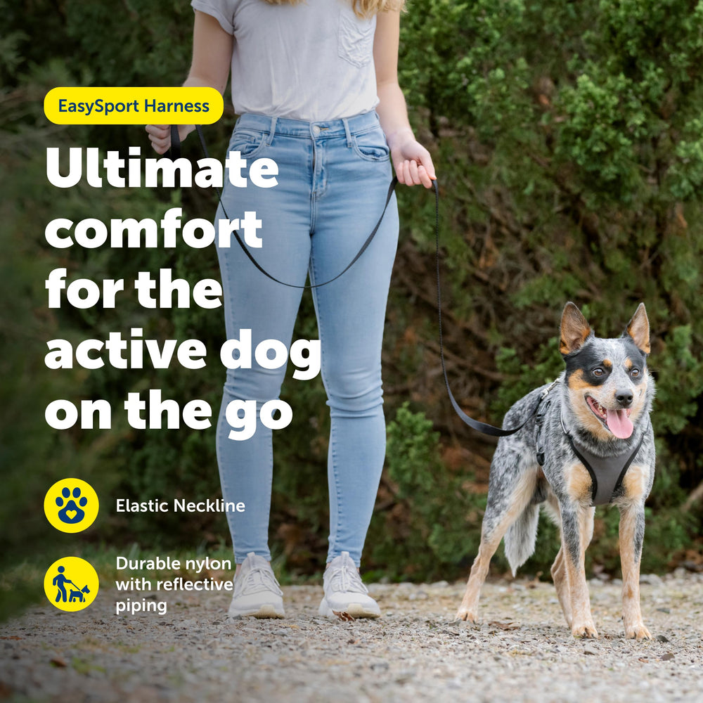 PetSafe EasySport: cuello elástico para ajuste suave y seguro