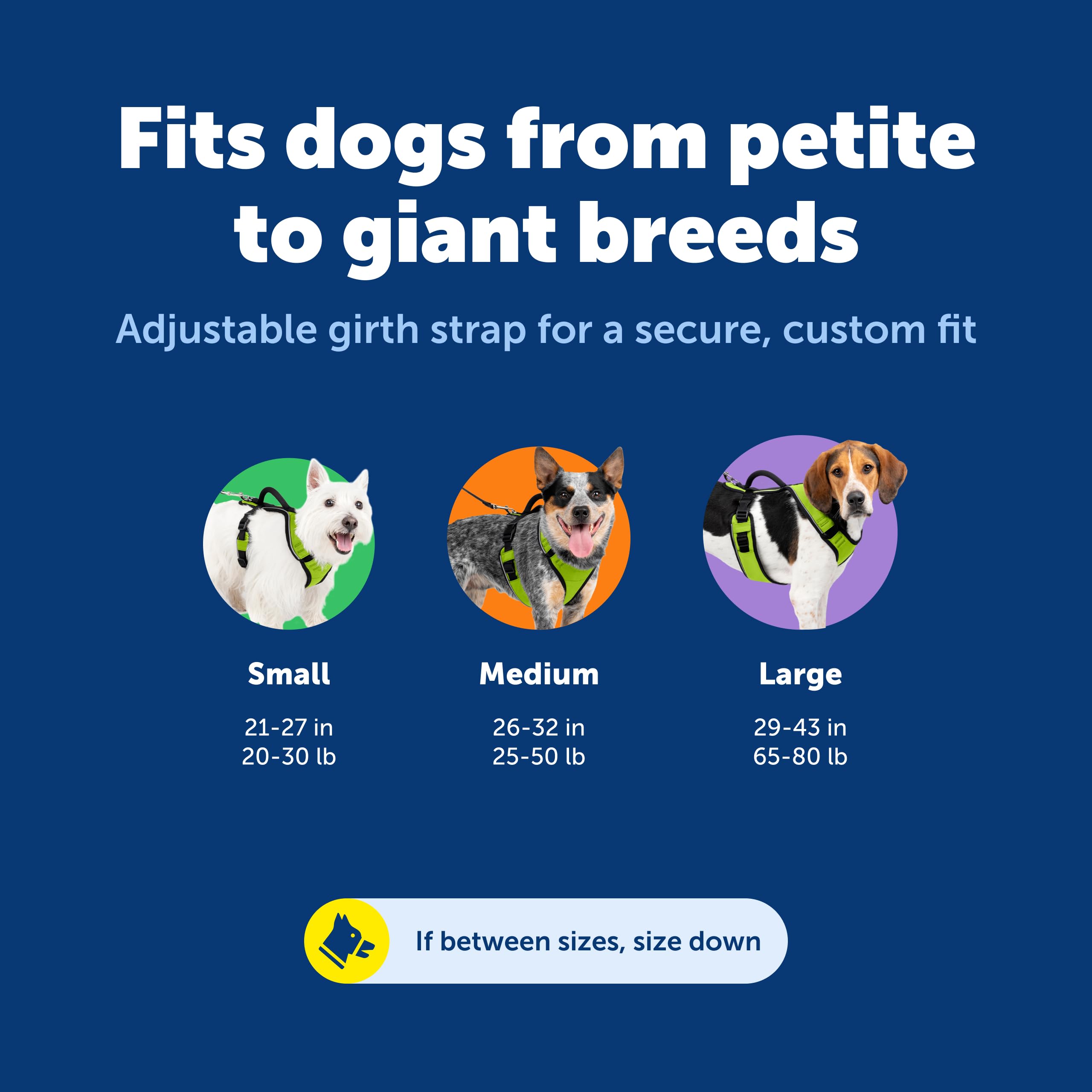 PetSafe EasySport asa de control superior para guiar al perro