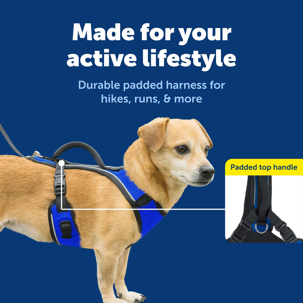 Arnés PetSafe EasySport, correa trasera para evitar tropiezos durante el juego.