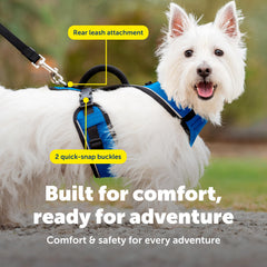 PetSafe EasySport con anclaje trasero para evitar tropiezos.