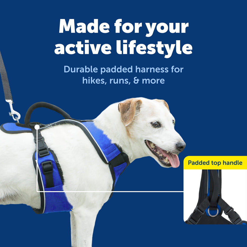 PetSafe EasySport cuello elástico para libertad de movimiento.