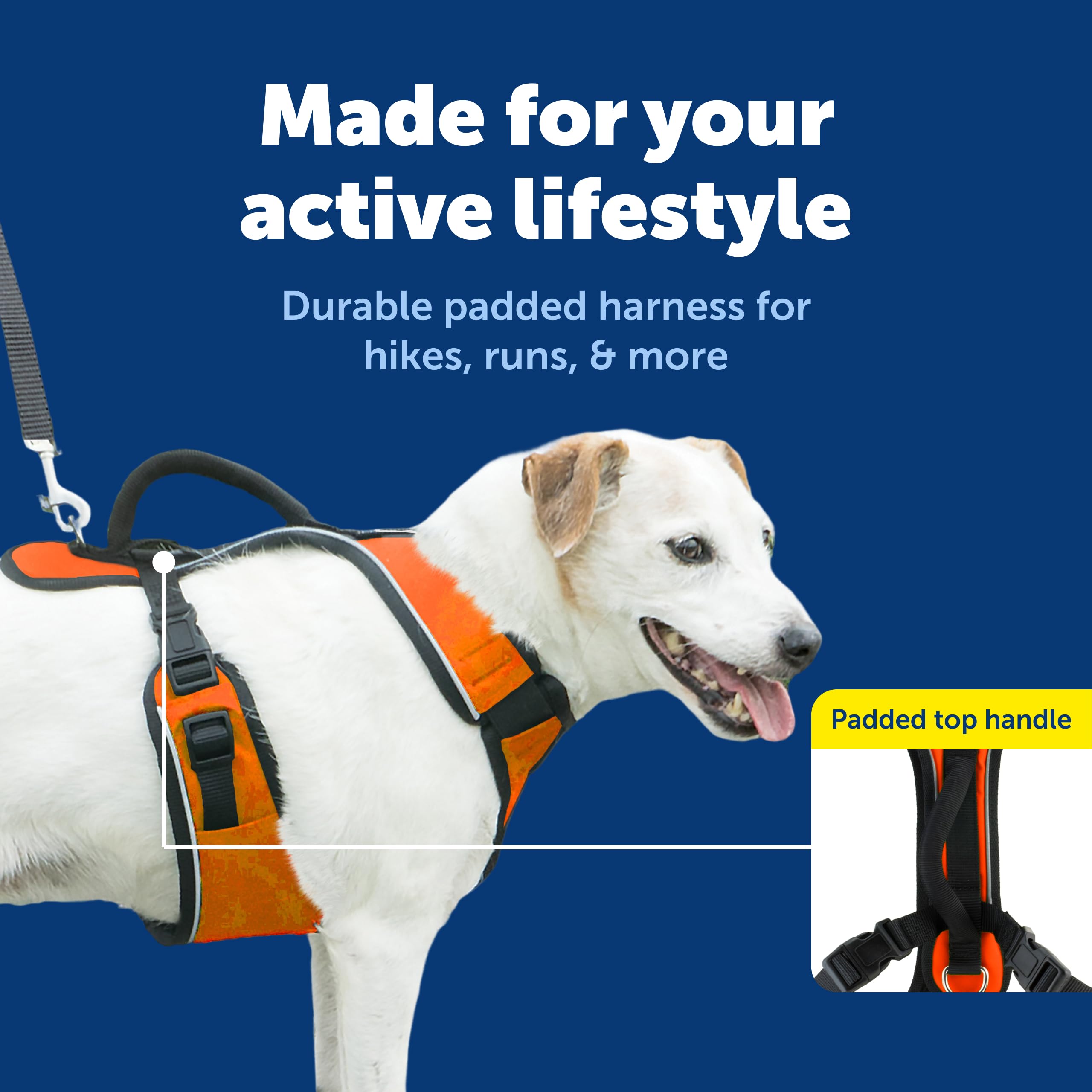 PetSafe EasySport hebillas suaves facilitan poner y quitar