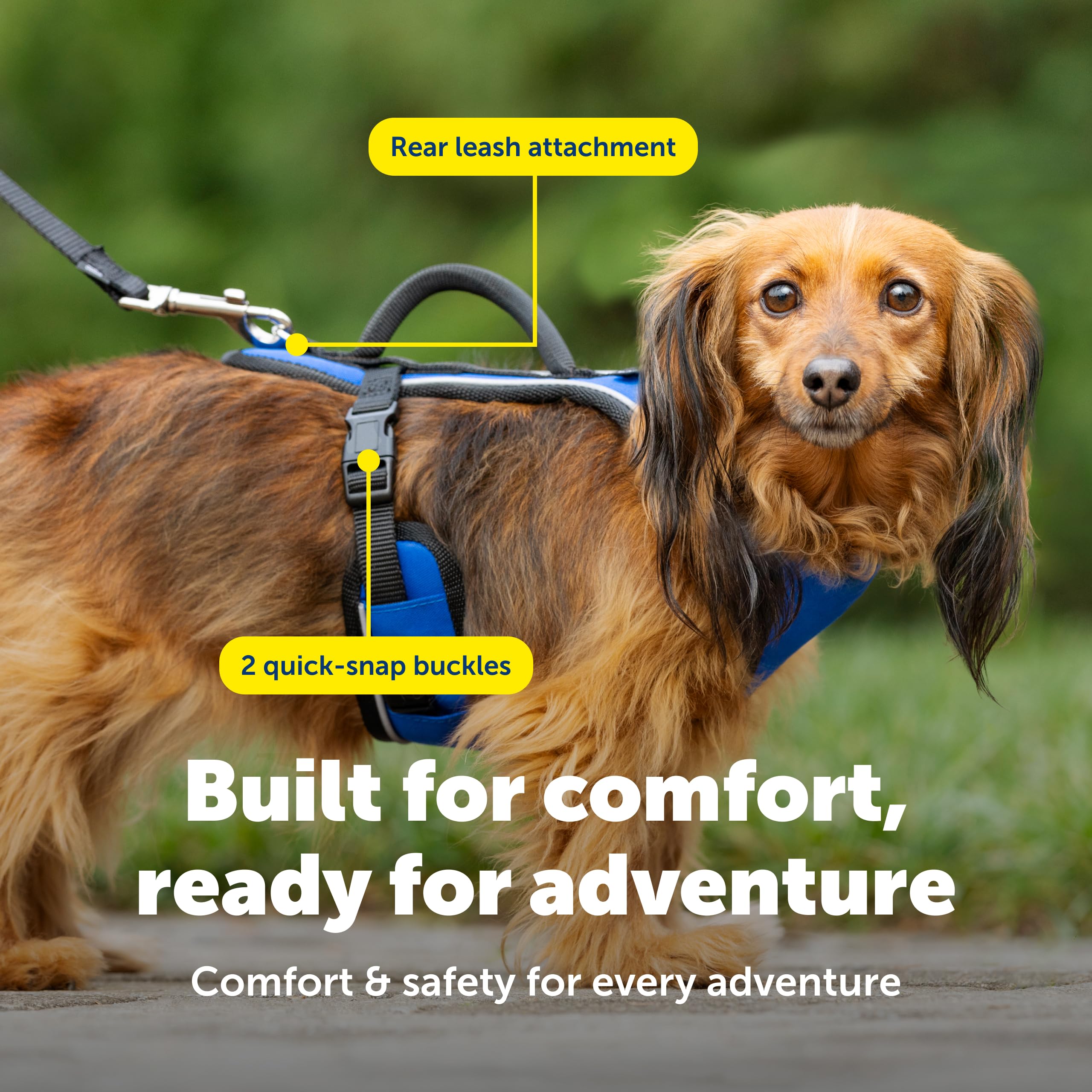 Arnés PetSafe EasySport, mango superior para guiar con seguridad.