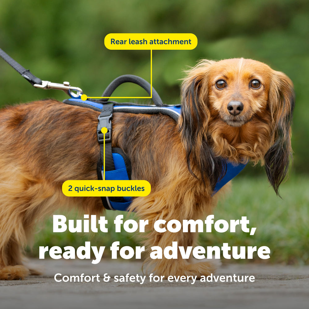 Arnés PetSafe EasySport, mango superior para guiar con seguridad.