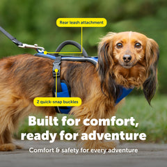 Arnés PetSafe EasySport, mango superior para guiar con seguridad.