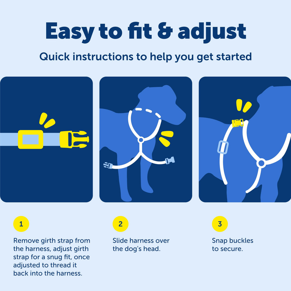 PetSafe EasySport puesta rápida para salidas espontáneas
