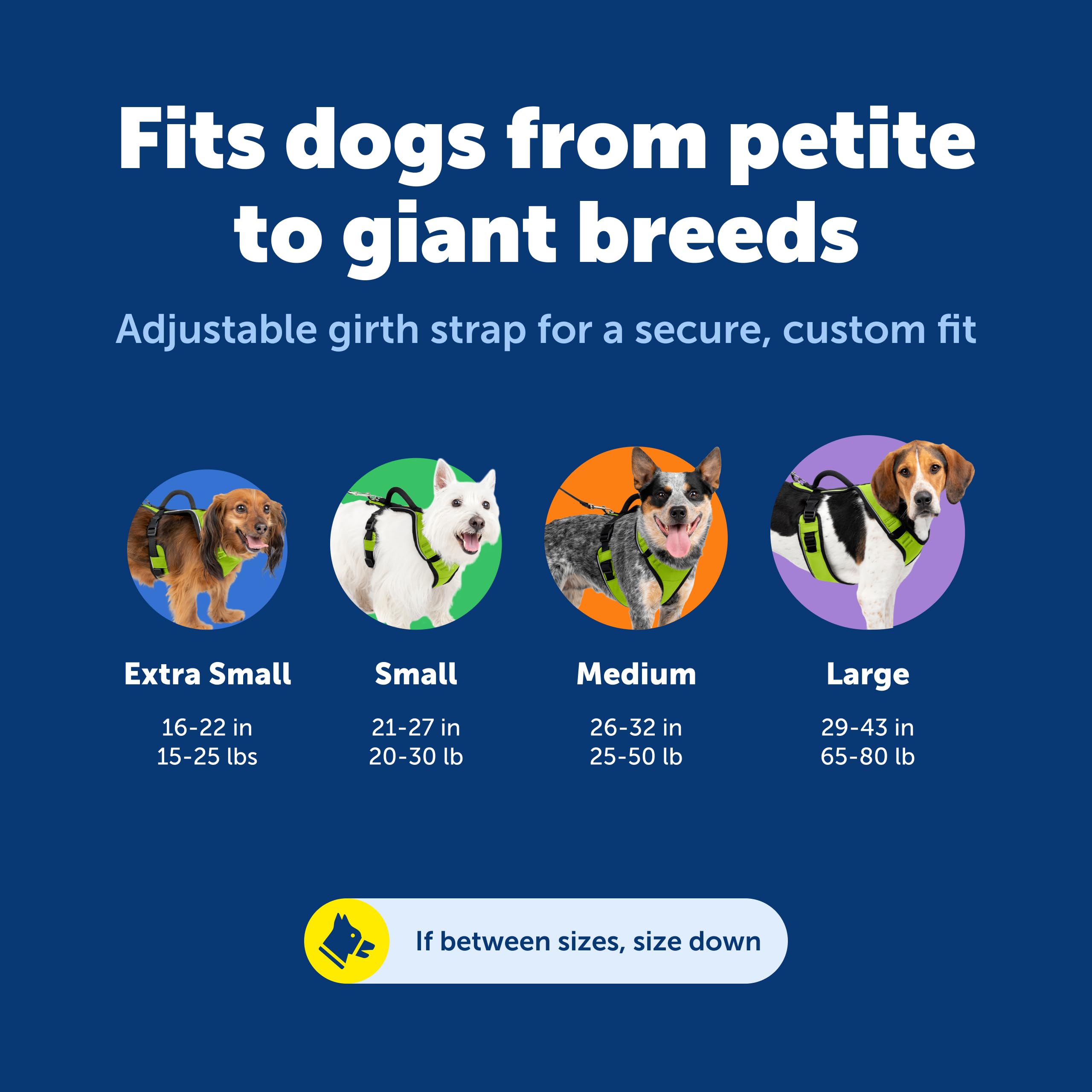 Arnés PetSafe EasySport, ribete reflectivo para mayor visibilidad nocturna.