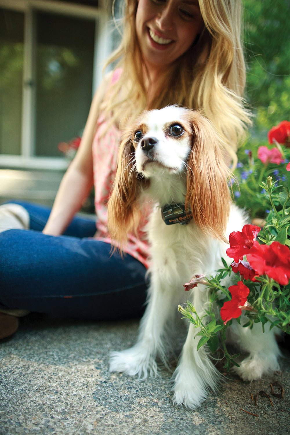 Collar ajustable PetSafe Elite para cuellos de 15 a 66 cm, ajuste seguro.