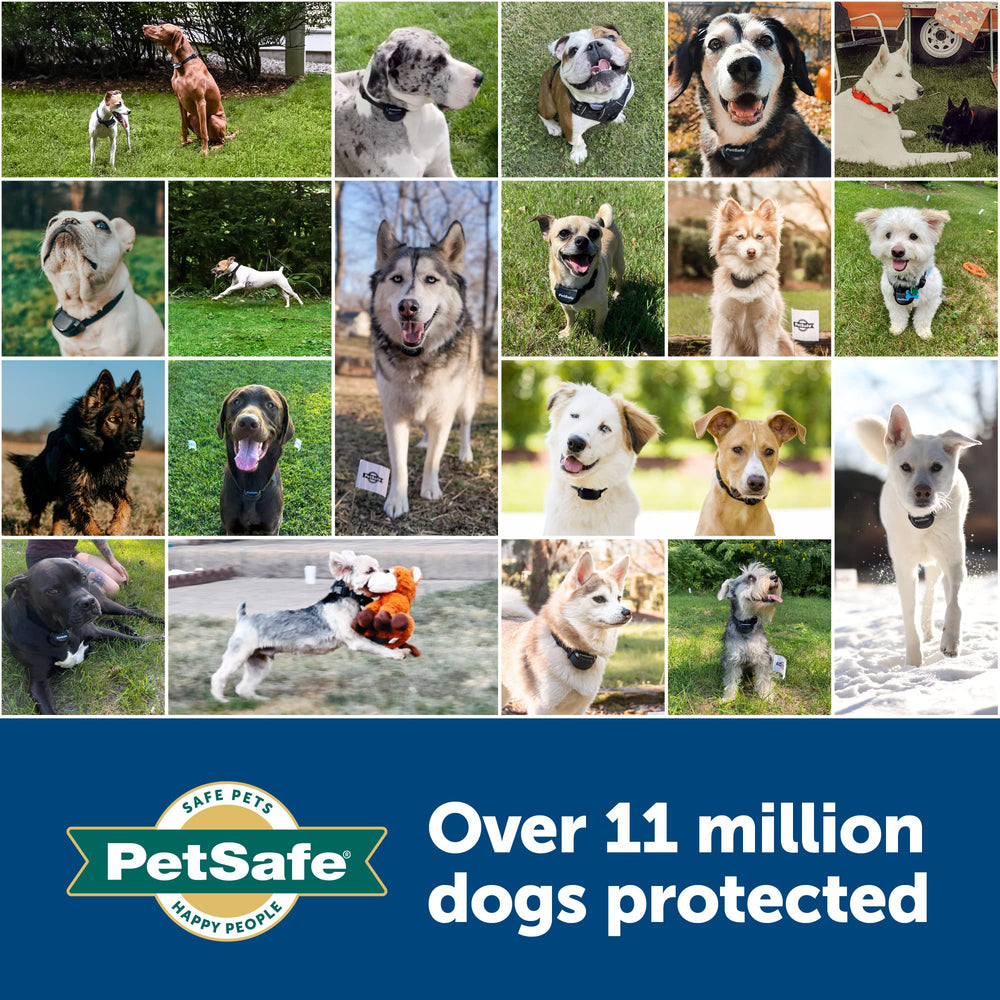PetSafe Elite, indicador de batería baja para mantenimiento fácil