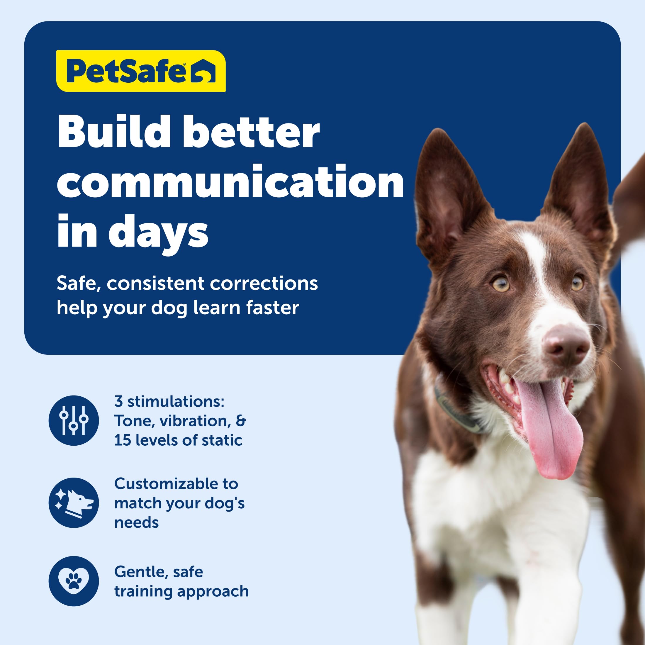 PetSafe collar impermeable para días de juego mojado.